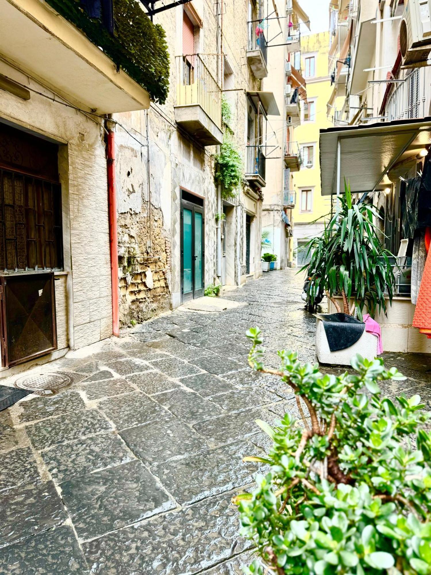 Ferienwohnung Vesuvius House Neapel Exterior foto